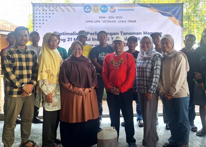 Optimalisasi Perlindungan Mangga Gadung 21, Dosen Agroteknologi UPN Veteran Jatim Gelar Pengabdian Masyarakat