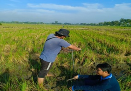 Penelitian Mahasiswa Agroteknologi Ungkap Peran Mikoriza pada Produktivitas Tebu di PG. Rejo Agung Baru Madiun